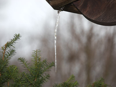 Did I mention it was cold today?