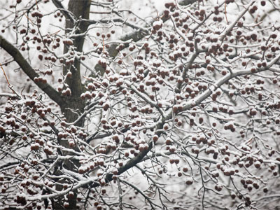 This really needs to stop.