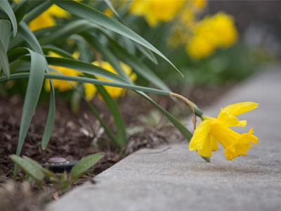 Not every spring day is a pleasant day.