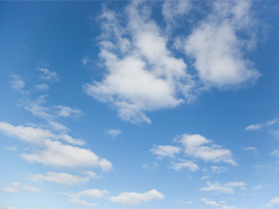 Looking for the next bird.