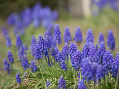 I looked up so much, I almost forgot to look down.