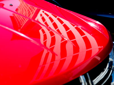 My picture-taking probably makes people suspicious.