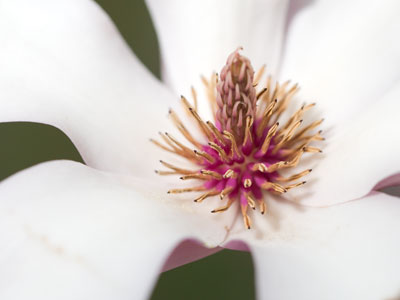 It was cold and cloudy, so I provided my own light.