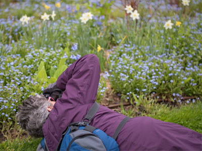 I told the people in my photography workshop today to `shoot flowers from flower height,` and they do as I say.