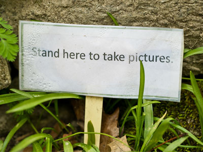 We could all use photography advice now and then.