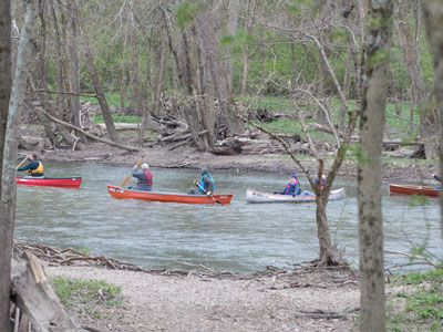 They`re obviously illegal immigrants.