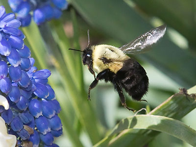 There were LOTS of pictures that didn`t turn out so well.