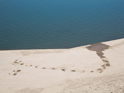 Many miles away, something crawls from the slime at the bottom of a dark Scottish lake. STING