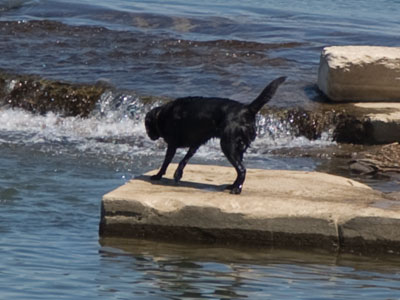 What are you trying to say, girl?  Billy fell in the river?