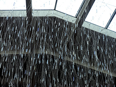 Fractal Rain by Terry Welker.