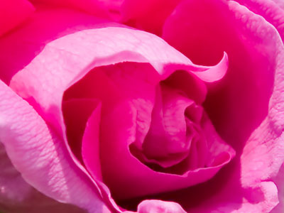 Just about everything makes me think of ice cream.