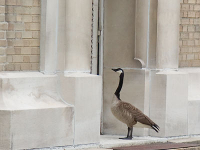 `Ah, yes, I`m here to complain about my bill.`