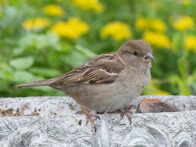 I walked out early this morning with my camera.