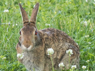Sorry to interrupt your breakfast.