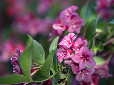 Today I begin my 15th year of taking photos every day.