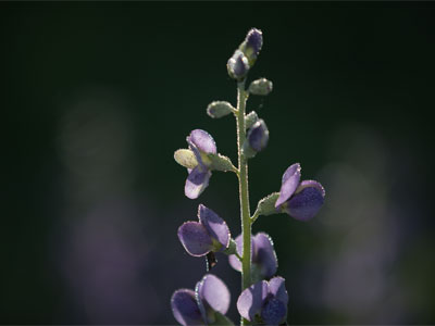 I was out on the prairie by myself this morning.