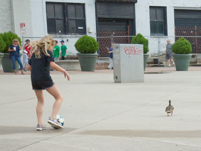 The duck didn`t want to play.