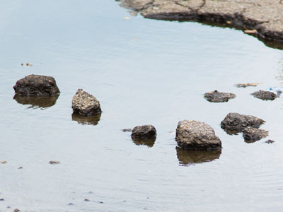 Hawaii is just a string of volcanic outcroppings.