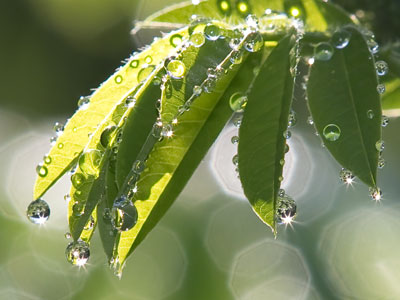 Photography is very demanding, but it`s also rewarding.