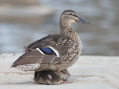 What to do when the little ones start acting up.