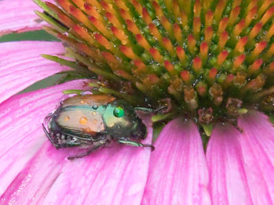 Sometimes it`s really hard to get started in the morning.