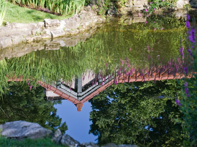 I spent the morning in one of my favorite garden parks.