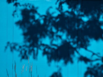 A hot and sunny morning.