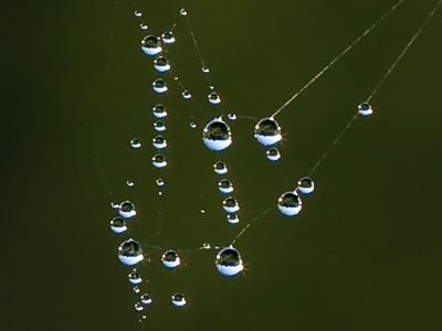 You`ve got to know where -- and when -- to look.