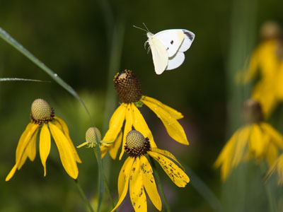 `Hey, I`m just about to land.  Meet me in baggage claim.`