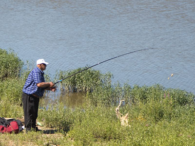It was a beautiful morning for photography or phishing.
