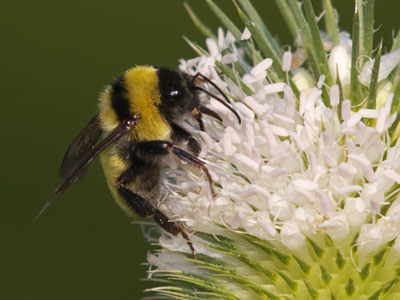 I`m outside as the sun rises.  What more do I need?