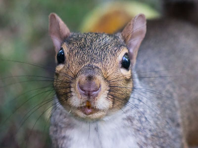 The first face I saw this morning.