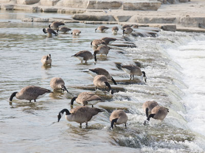 I took 57 photos of this scene.  I hope this is the best.