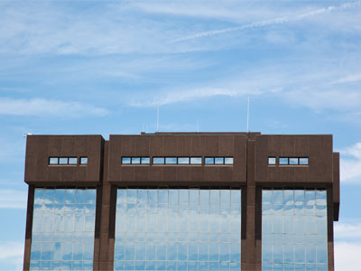 Reflections of a summer afternoon.