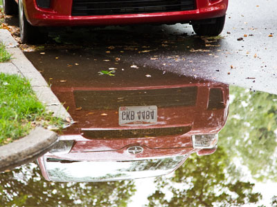 It`s supposed to rain for the next seven days.