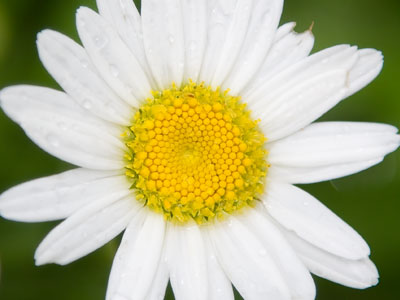 The brevity of perfection.