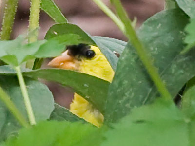 You THINK you`re hiding from me.