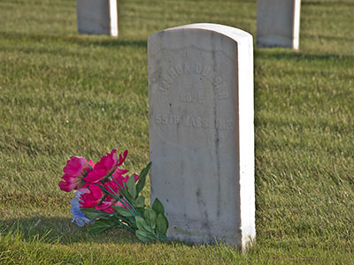 He is sleeping.  Let him rest with the flag across his breast. PAUL LAURENCE DUNBAR