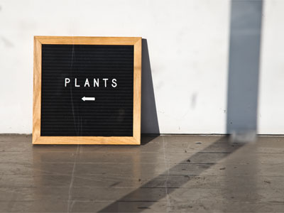 Watch out!  That leads to the vegetarian restaurant!