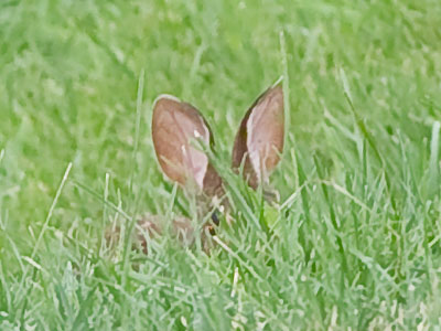 You THINK you`re hiding from me (see July 21 above).