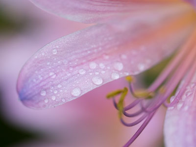 Being here, seeing this, is more meaningful than anything else I will do today.