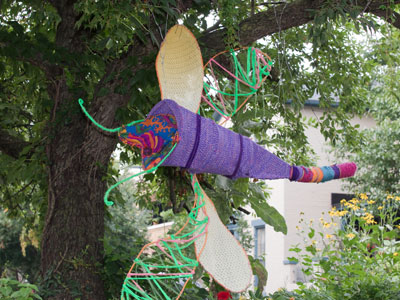 Dragonflies seem especially large this summer.