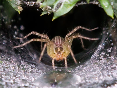 Awaiting the next guest.