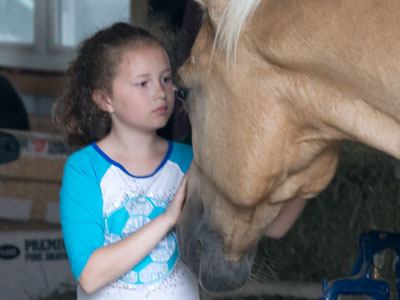 An understanding between the species.