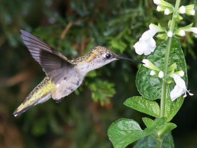 The joy of this photo was slightly diminished when some woman walked up and said, `You gonna lemme see it?`