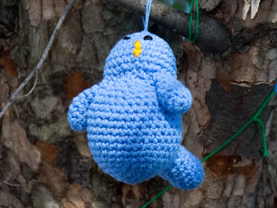 At this time of year, I take too many pictures of birds.