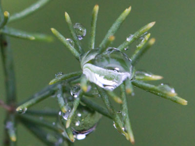 Water, water everywhere.