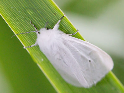 Not a comfortable way to spend the night.