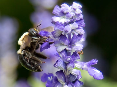 This is what I look for during my lunch break.