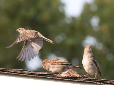 `Watch out, he`s got a camera.  I`m outta here!`